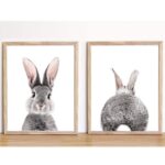 Set x 2 - Conejo frente y cola (varios tamaños)