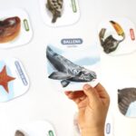 Juego de memoria - Animales de Argentina